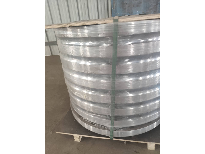 锻造平焊法兰 PL1000-1.0RF